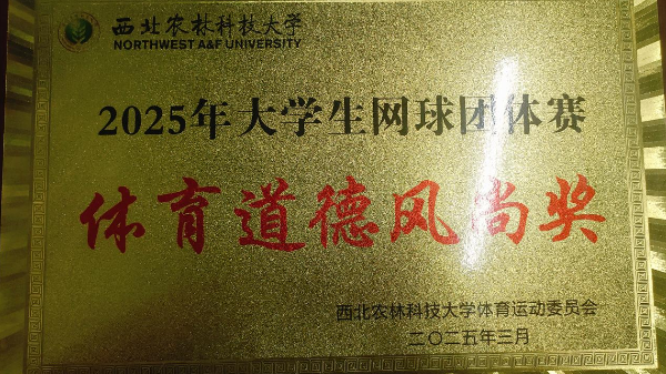 图片2_副本.png